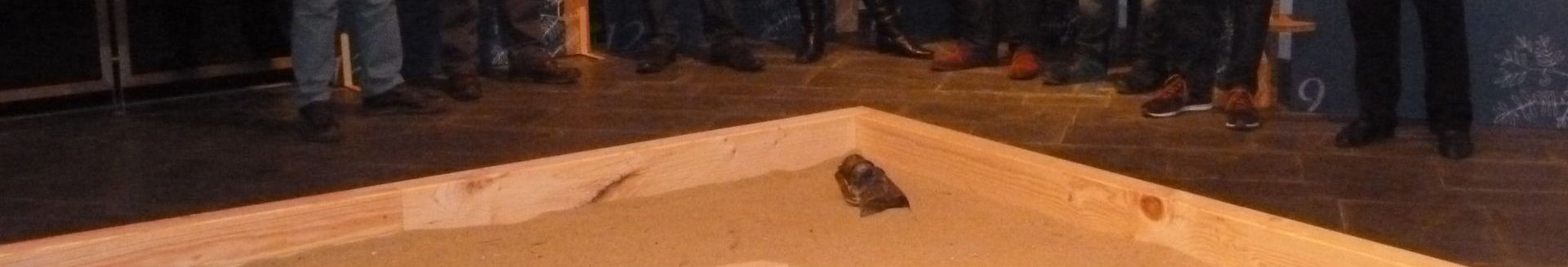 Inaugurazioa Tolosan