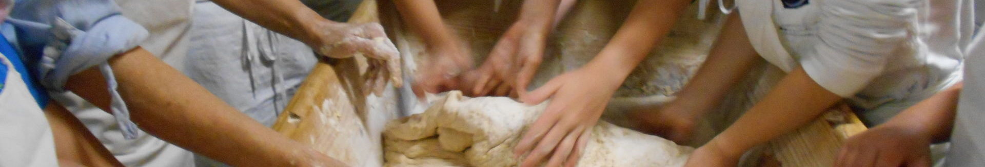 actividades complementarias 1