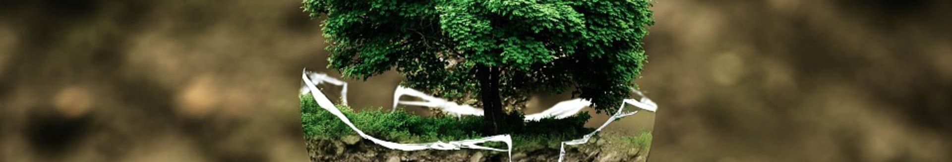 Cuidemos el medio ambiente