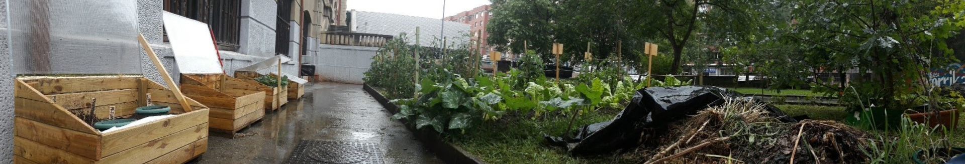 Invernadero semillero III