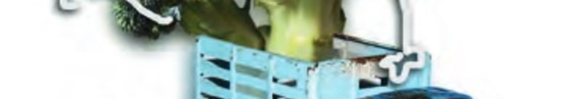 gure elikagaien jatorria