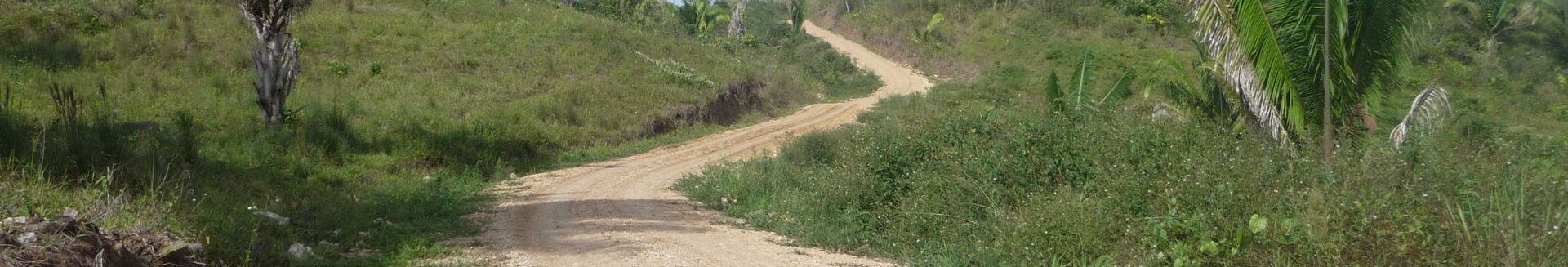 Camino SJose Purulha Fray