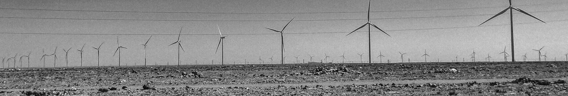 Lurralde Okupatuak-Berria goiburua