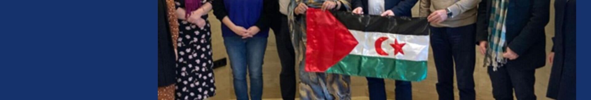 SAHARA DECLARACI&Oacute;N INSTITUCIONAL