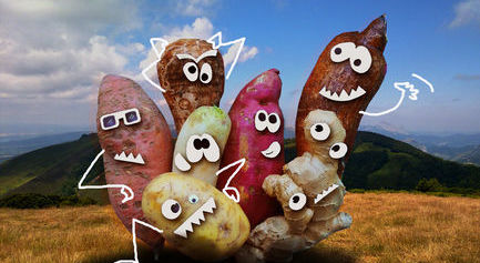 EAThink: curso y voluntariado para j&oacute;venes con experiencias migratorias 