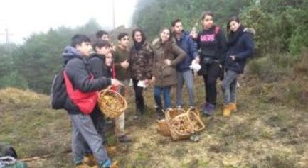 (Euskera) Tailerren ostean ikas-aktibitateak: landutako gaia ohiko ikas eredutik praktikan jartzeko aukera