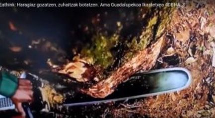 (Euskera) EAThink bideo lehiaketa: Haragiaz gozatzen, zuhaitzak botatzen
