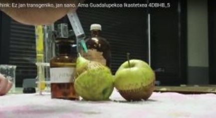 (Euskera) EAThink bideo lehiaketa: Ez jan transgeniko, jan sano