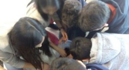 (Euskera) â€œBertakoa jan, mundua buruanâ€ tailerrak 2016-2017: San Fidel