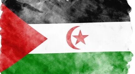 Las Juntas Generales de Bizkaia y de Álava apoyan un proyecto sobre los Derechos Humanos en el Sahara Occidental  