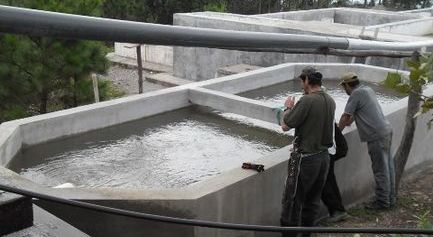 Acceso al agua potable y a los servicios higiénico-sanitarios en la microrregión Norte de Morazán 